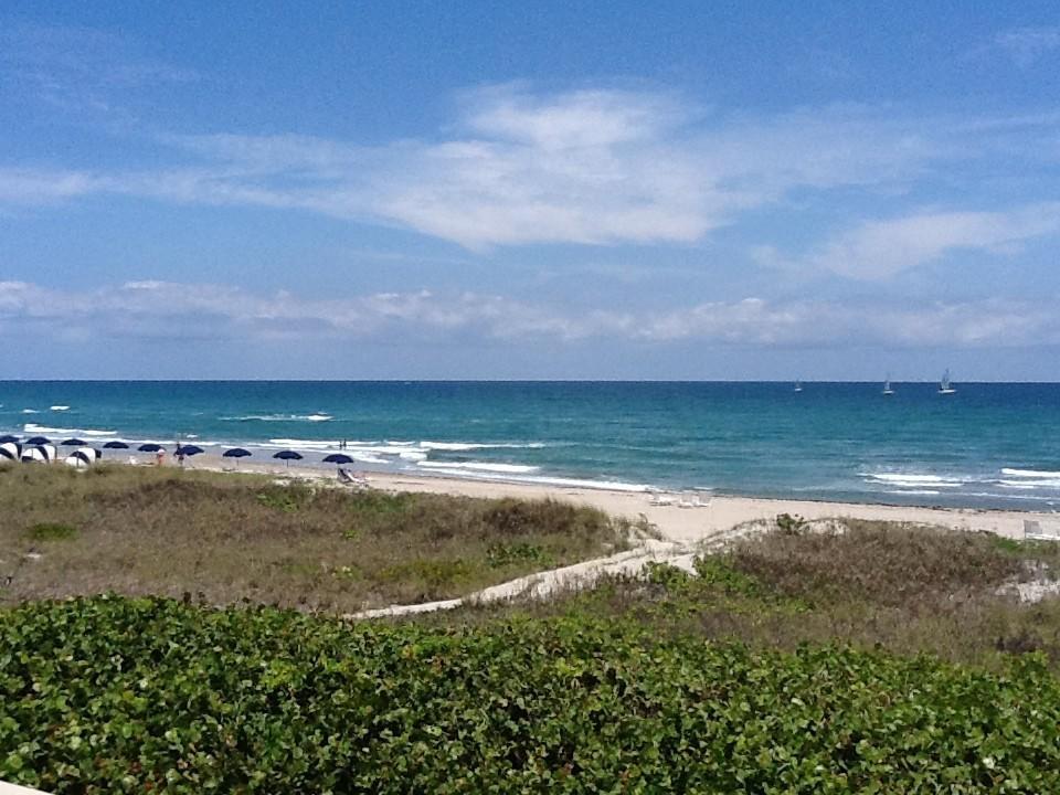 The Grove Condominium Delray Beach Room photo